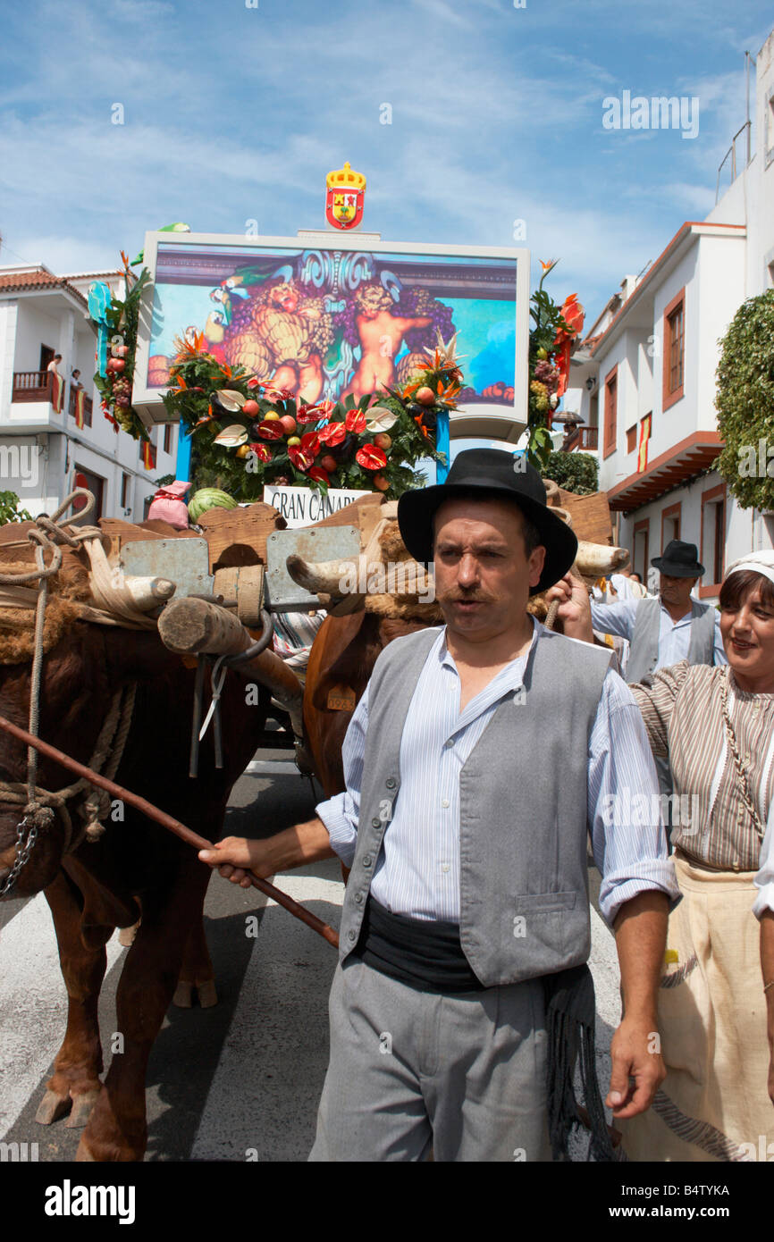 Spanish farmer with bulls at fiesta del Pino in Teror on Gran Canaria in The Canary Islands Stock Photo