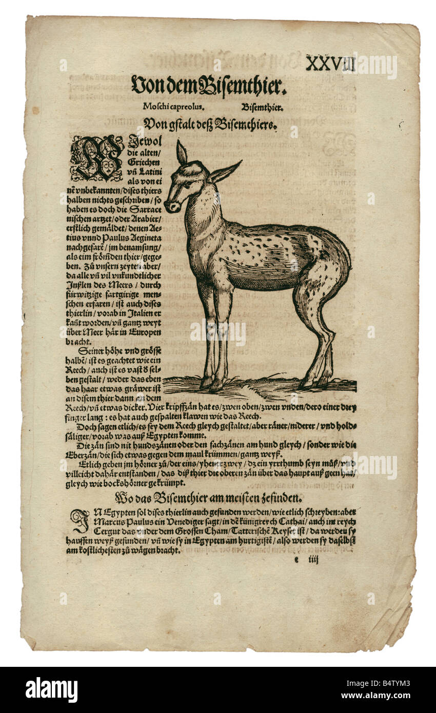 zoology / animals, textbooks, zoology / animals, textbooks,