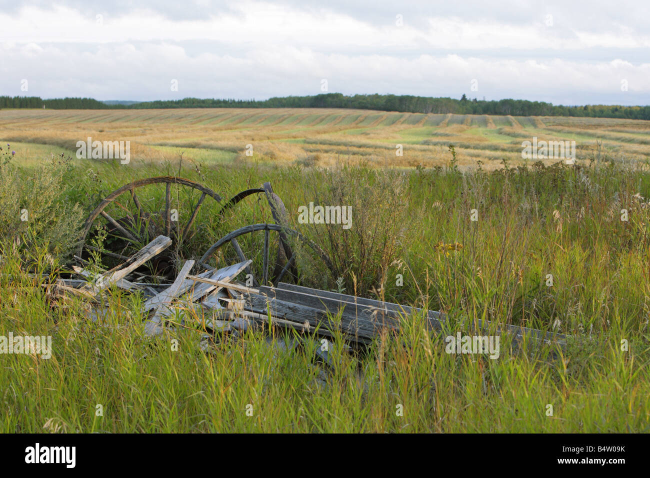 Abandoned pioneer covered wagon hires stock photography and images Alamy