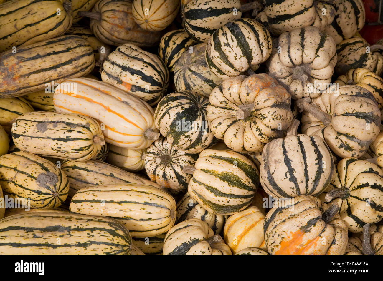 Bay City Michigan Fall produce on sale at Heinz Farm Fresh Produce a roadside farmers market Stock Photo