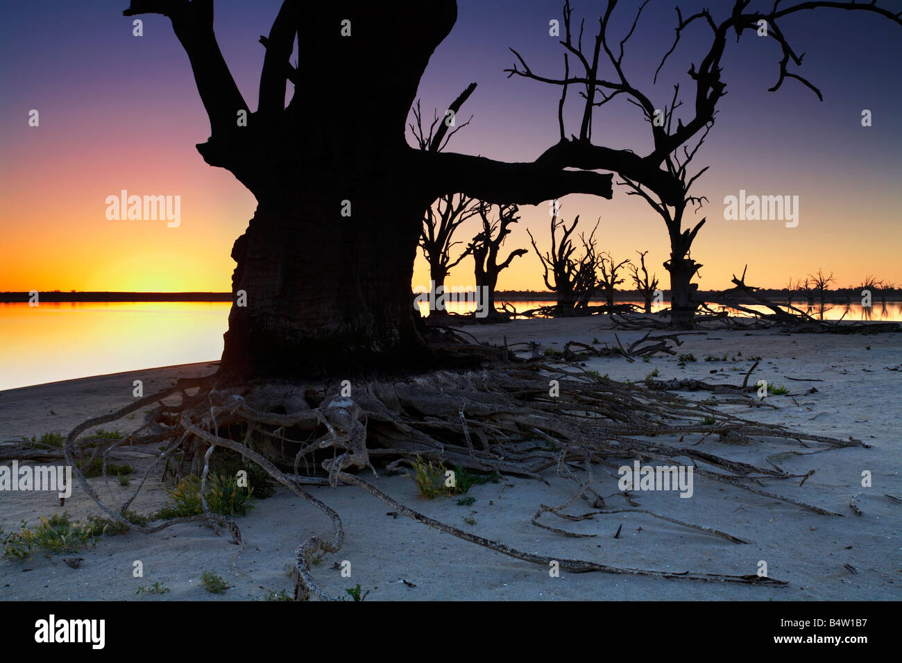 Pelican Point Lake Bonney Barmera Riverland South Australia Stock Photo