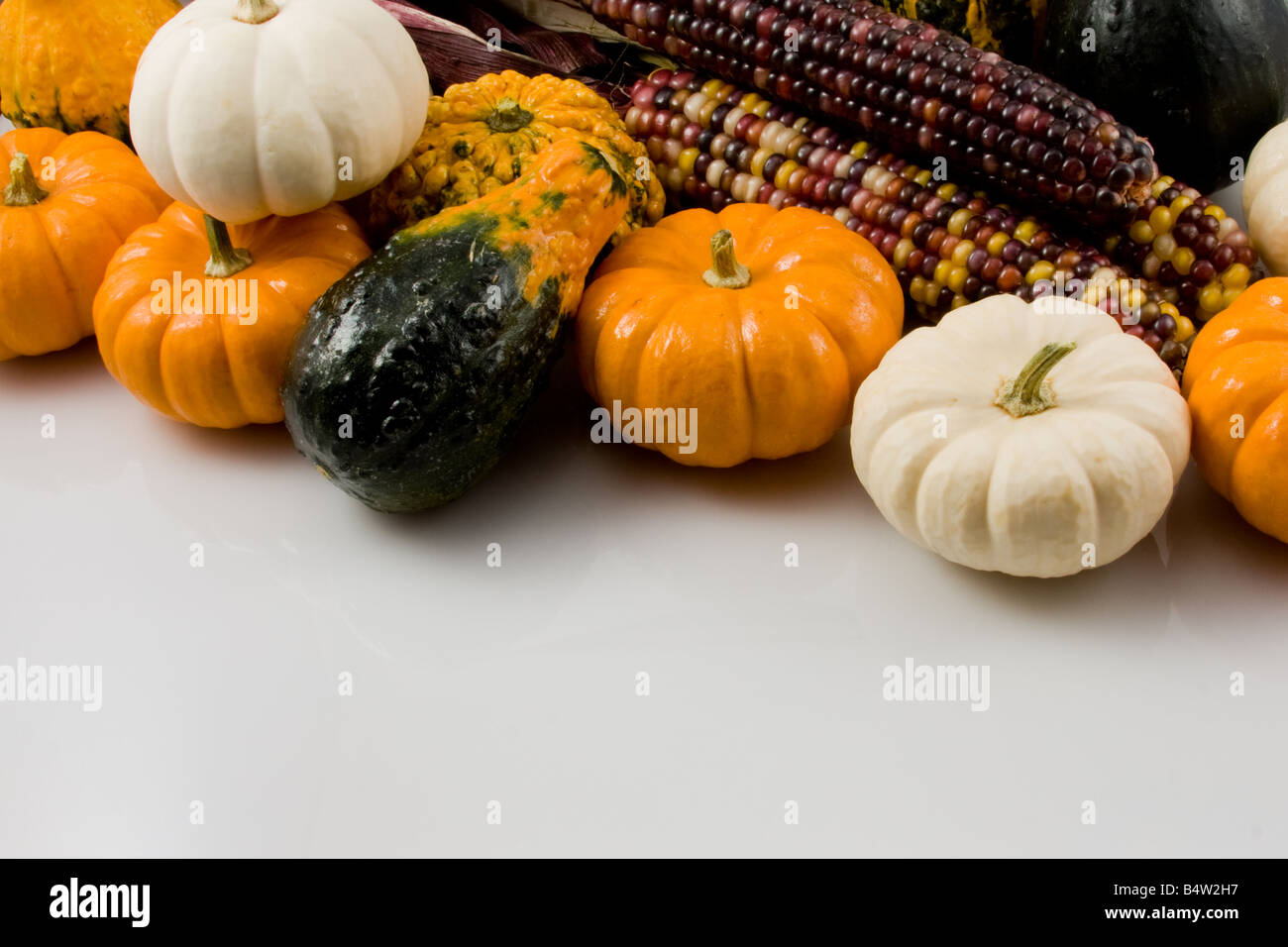 Mini Pumpkins and Gourds Stock Photo Alamy