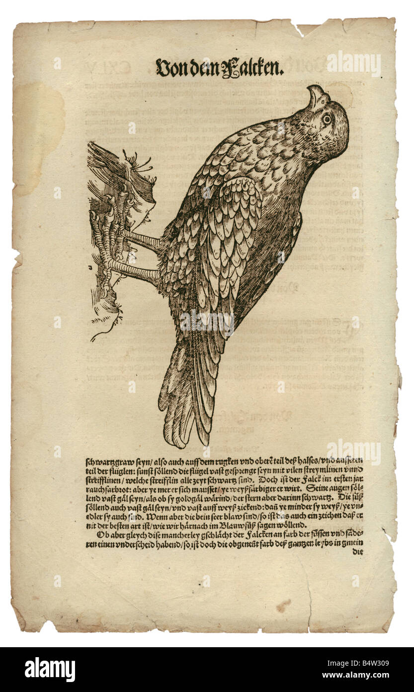 zoology / animals, textbooks, zoology / animals, textbooks,