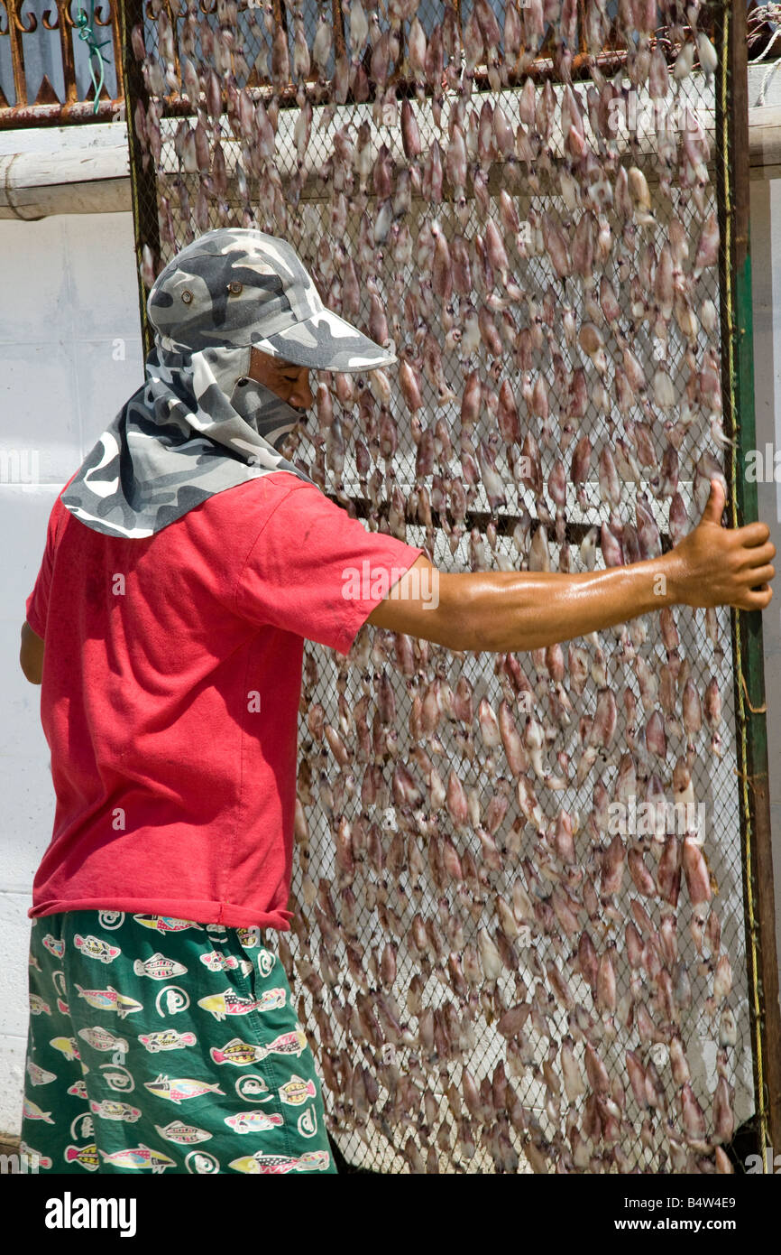 Drying Fish, small dried fish, Hua Hin, Thailand Stock Photo Alamy