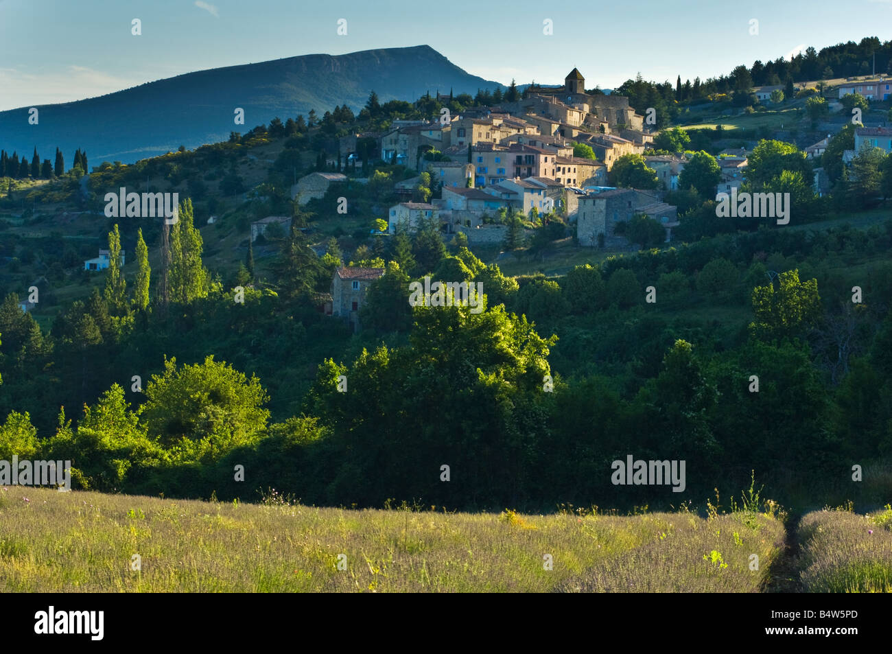 A small field of lavender with the hilltop village of Aurel receiving the first light of sunrise Stock Photo