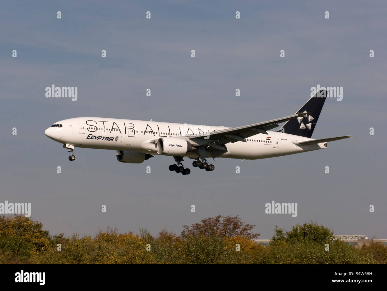 Egyptair Boeing 777 266ER in a Star Alliance livery landing at London Heathrow Stock Photo