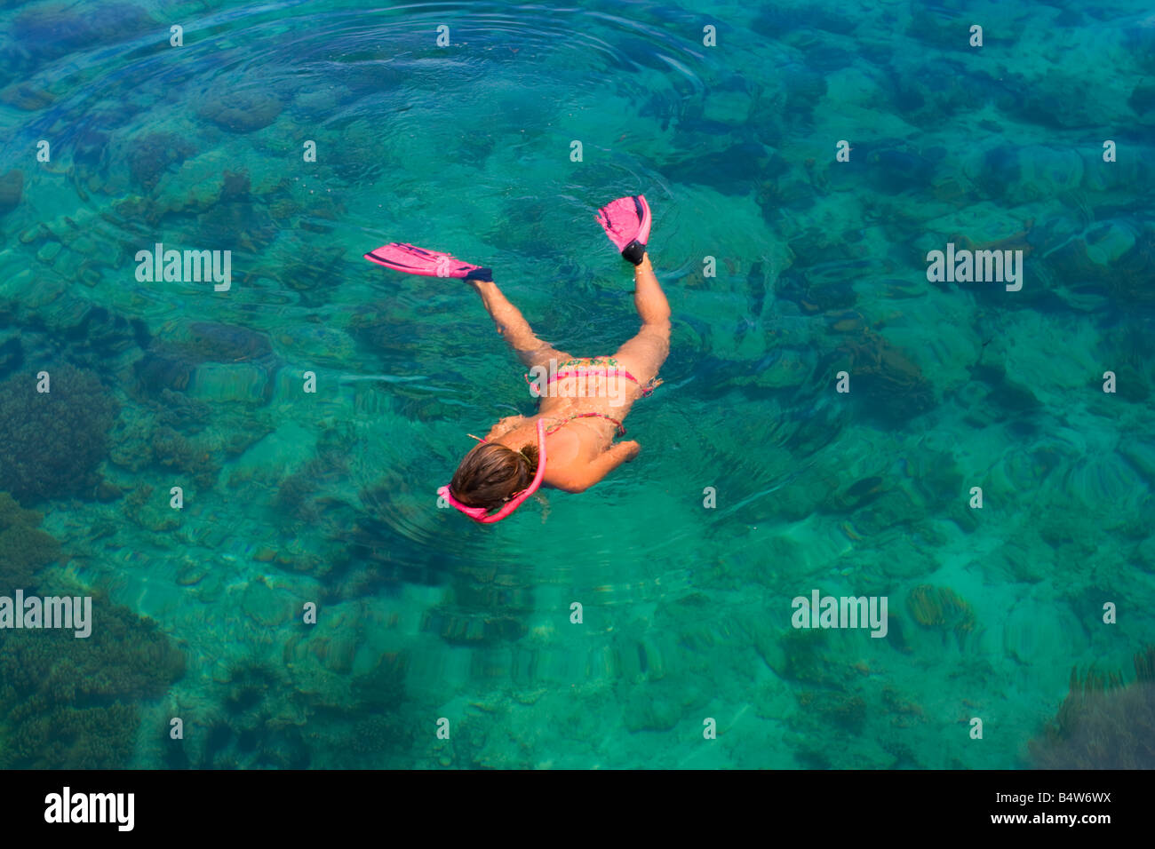 Snorkelling across corals in shallow water Mabul Island Sabah Malaysia Stock Photo