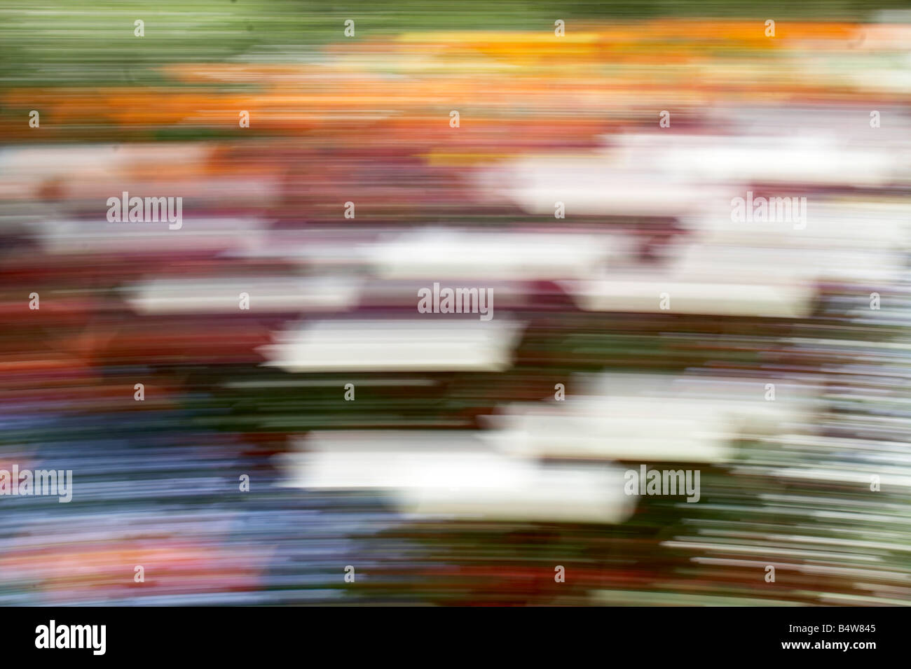 Abstract blurred flower bed colours in St James s Park CIty of Westminster SW1 London England Stock Photo