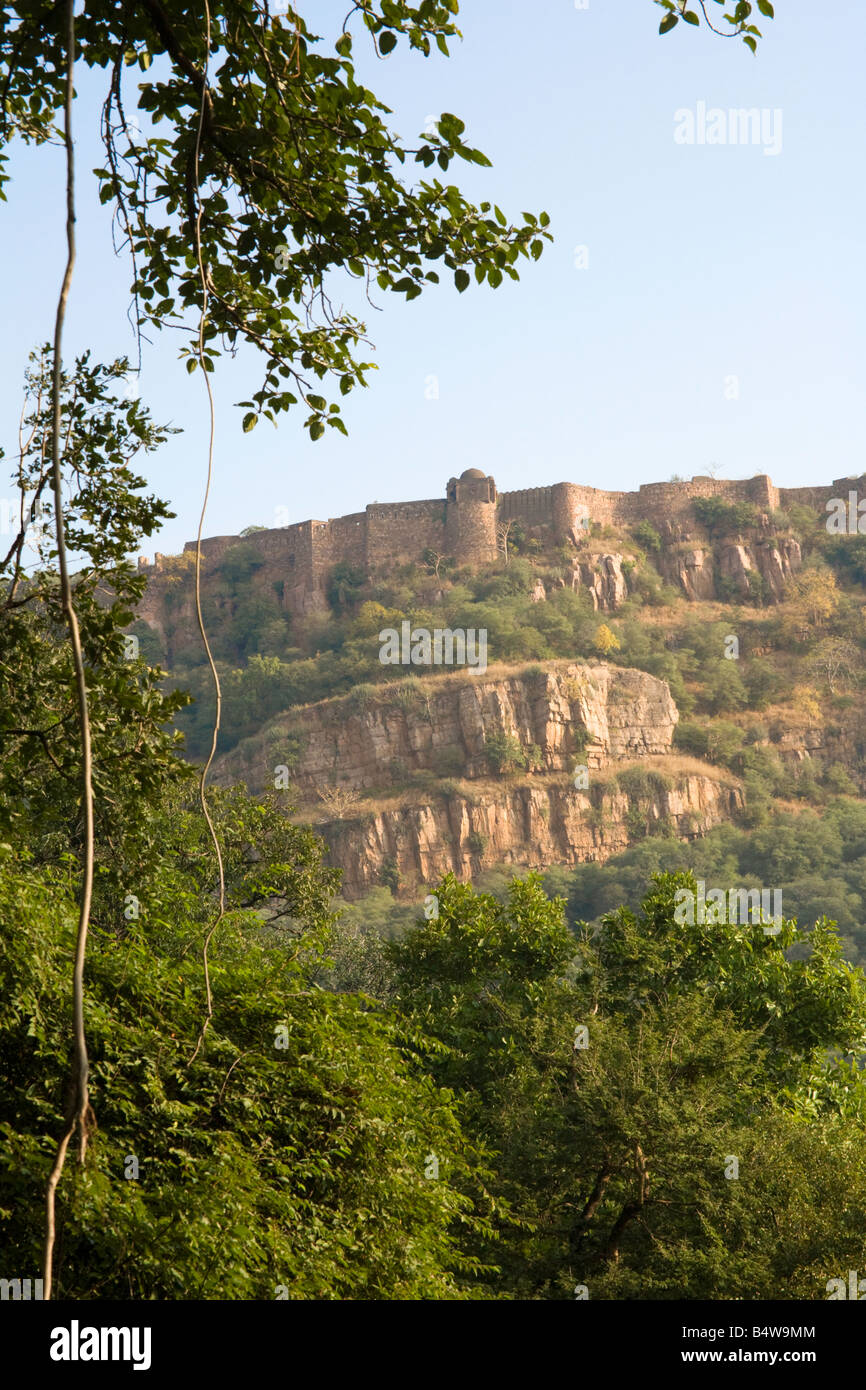 The ruins of Ranthambore Fort seen from the National Park, Rajasthan, India Stock Photo