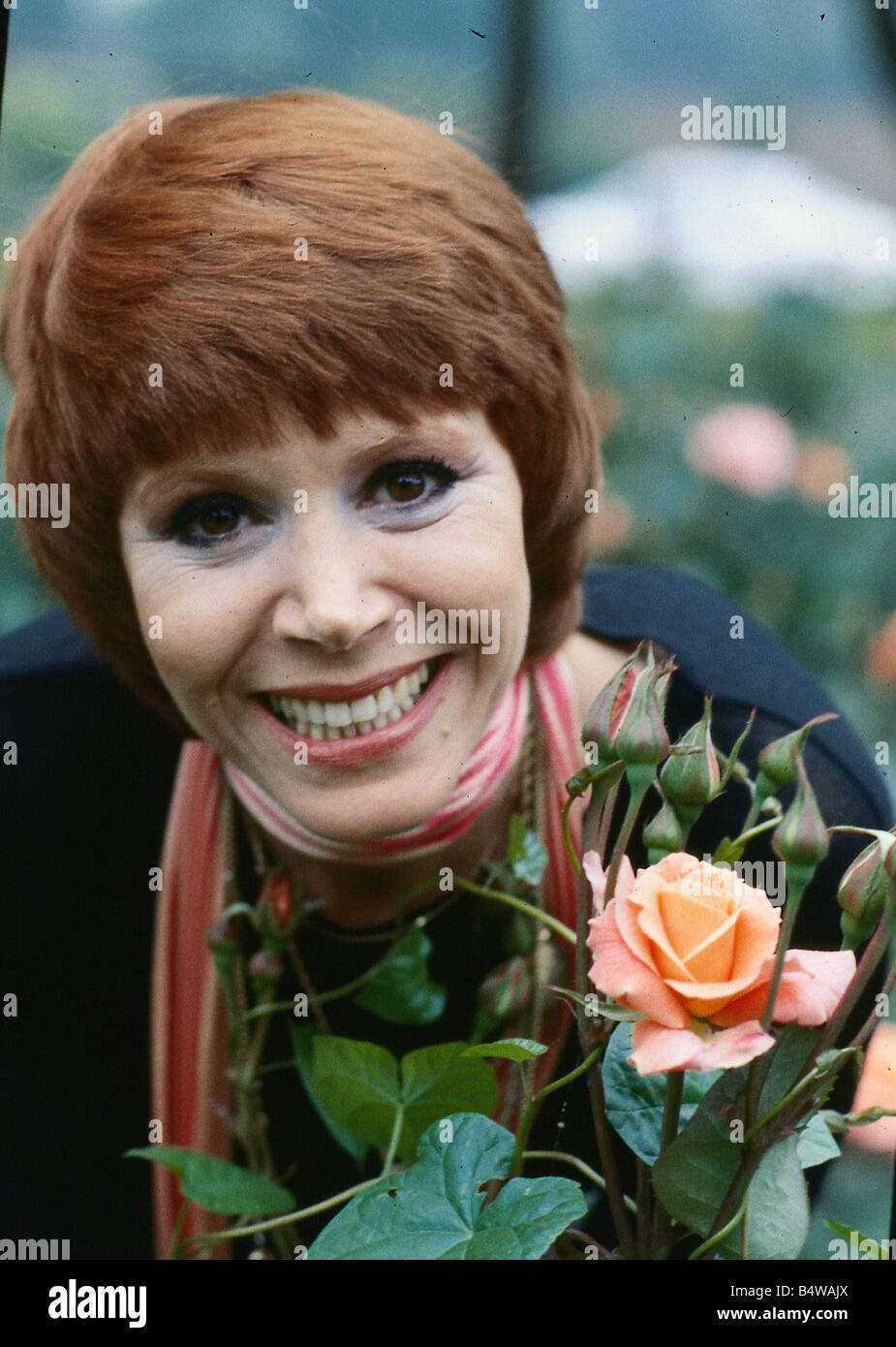 Judy carne hi-res stock photography and images - Alamy