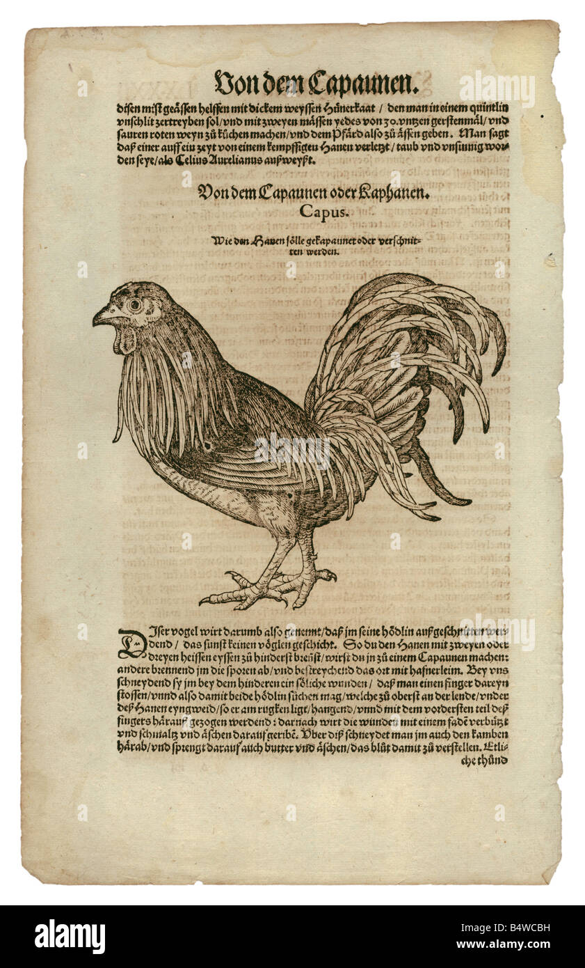 zoology / animals, textbooks, zoology / animals, textbooks,