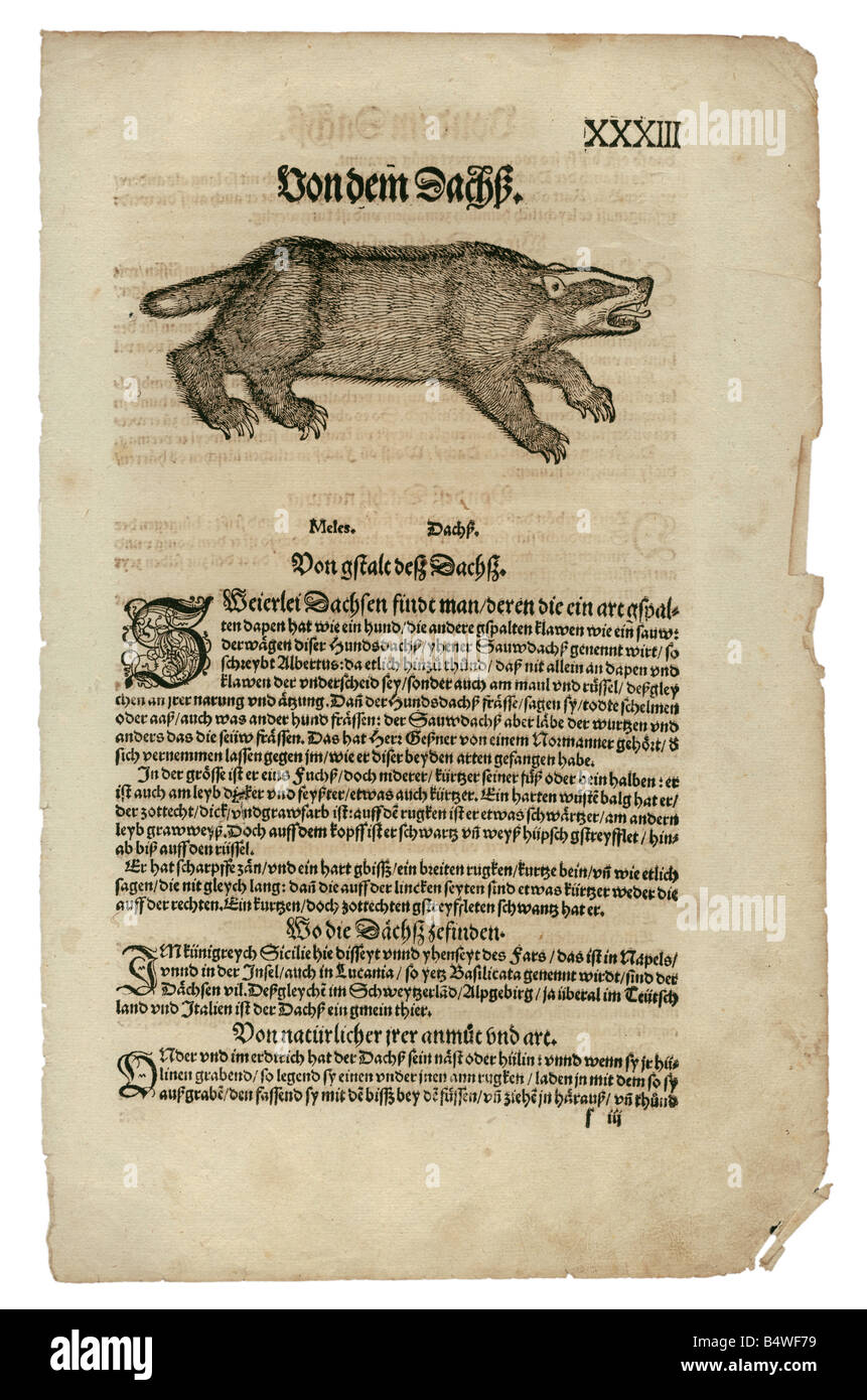 zoology / animals, textbooks, "Historia animalium", by Conrad Gessner