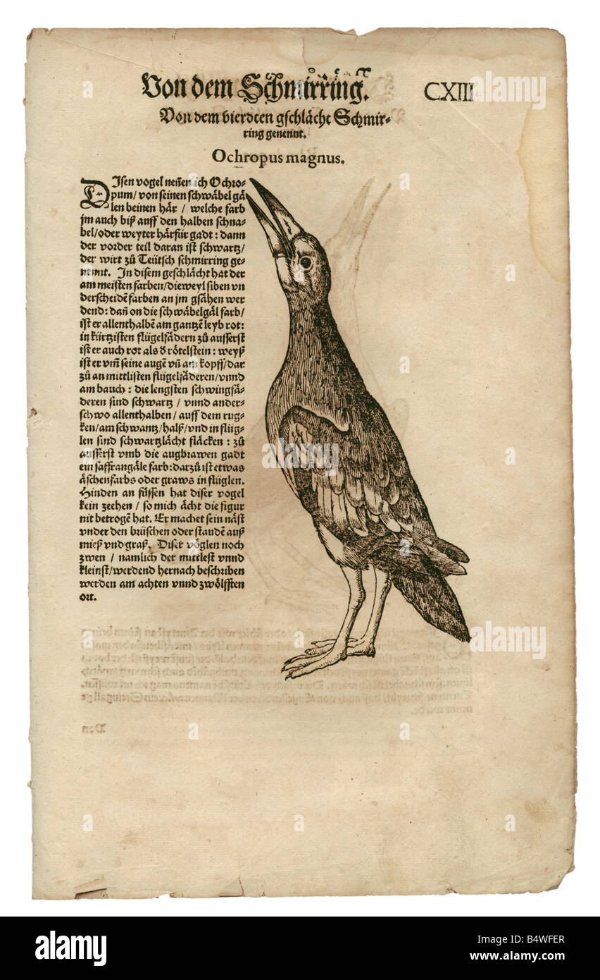 zoology / animals, textbooks, zoology / animals, textbooks,