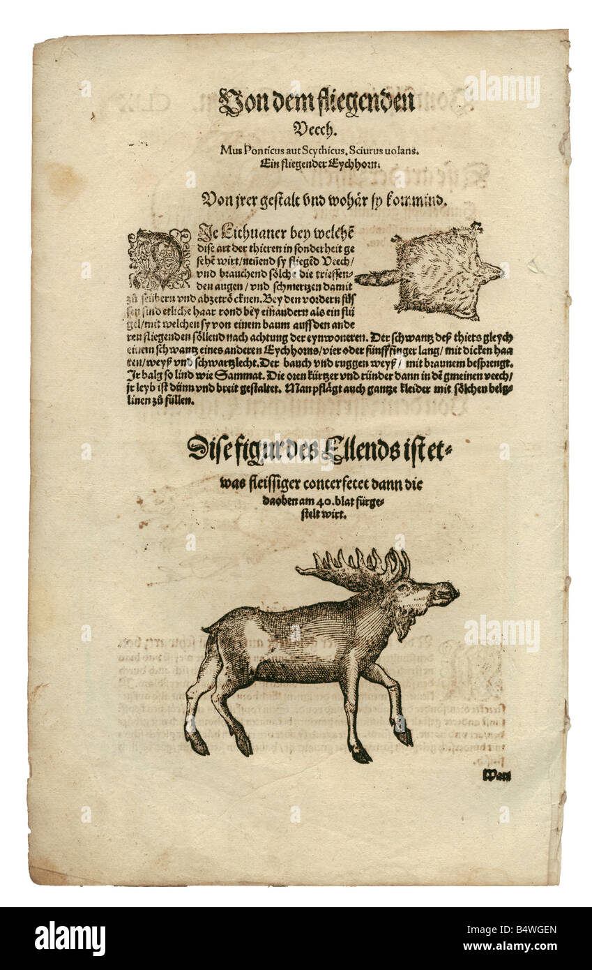 zoology / animals, textbooks, zoology / animals, textbooks,