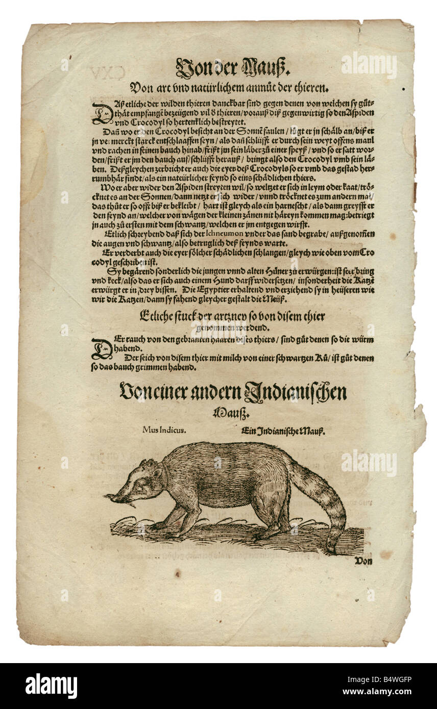 zoology / animals, textbooks, zoology / animals, textbooks,