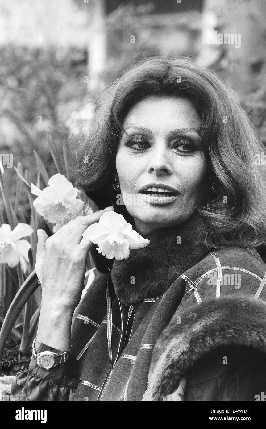Sophia loren actress hires stock photography and images Alamy