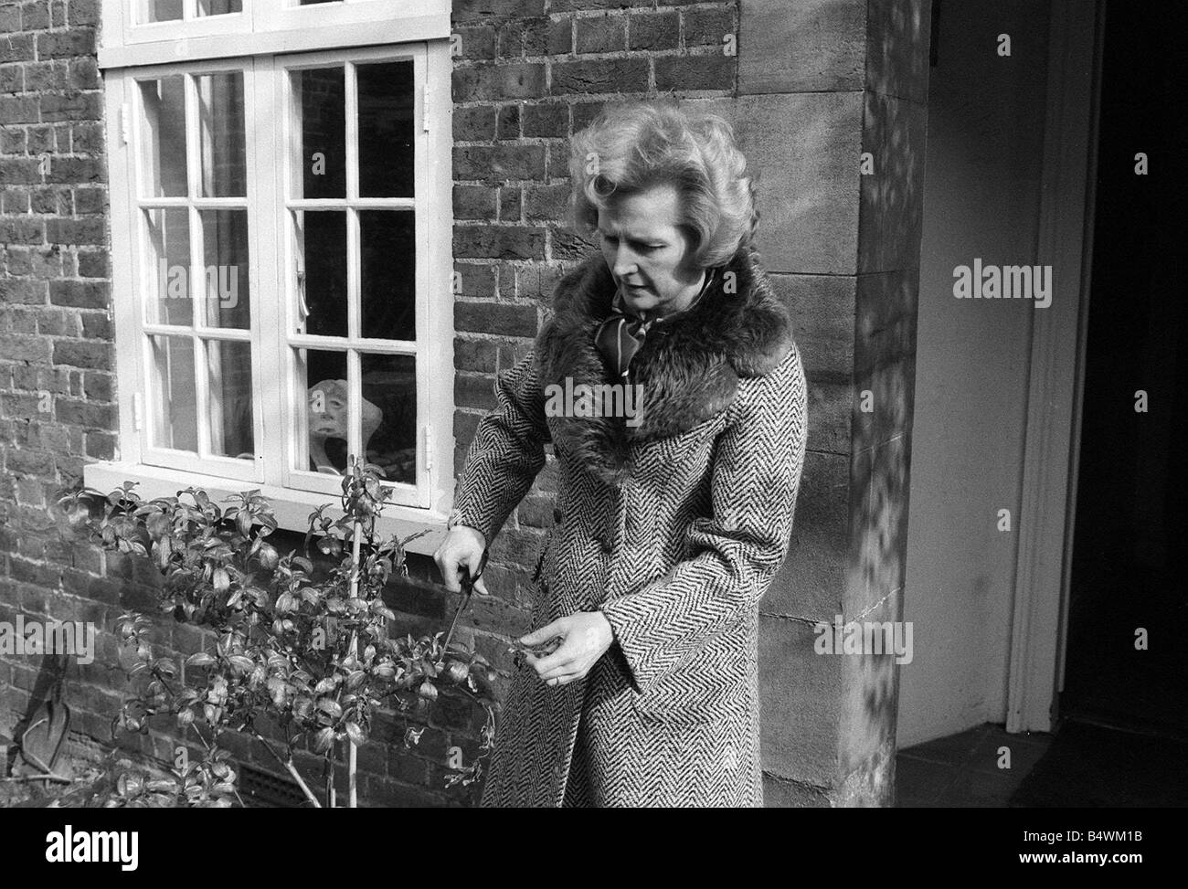 Conservative politician Margaret Thatcher working in the Front garden ...