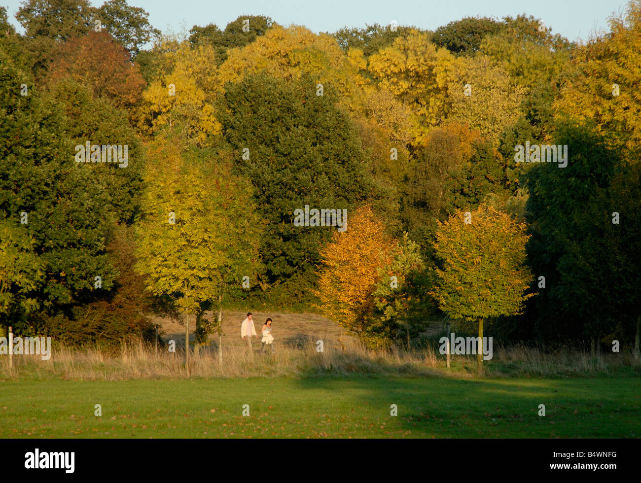Couple walking through park surrounded by autumn colours, Nonsuch Park, Cheam, (southwest London), Surrey, England Stock Photo