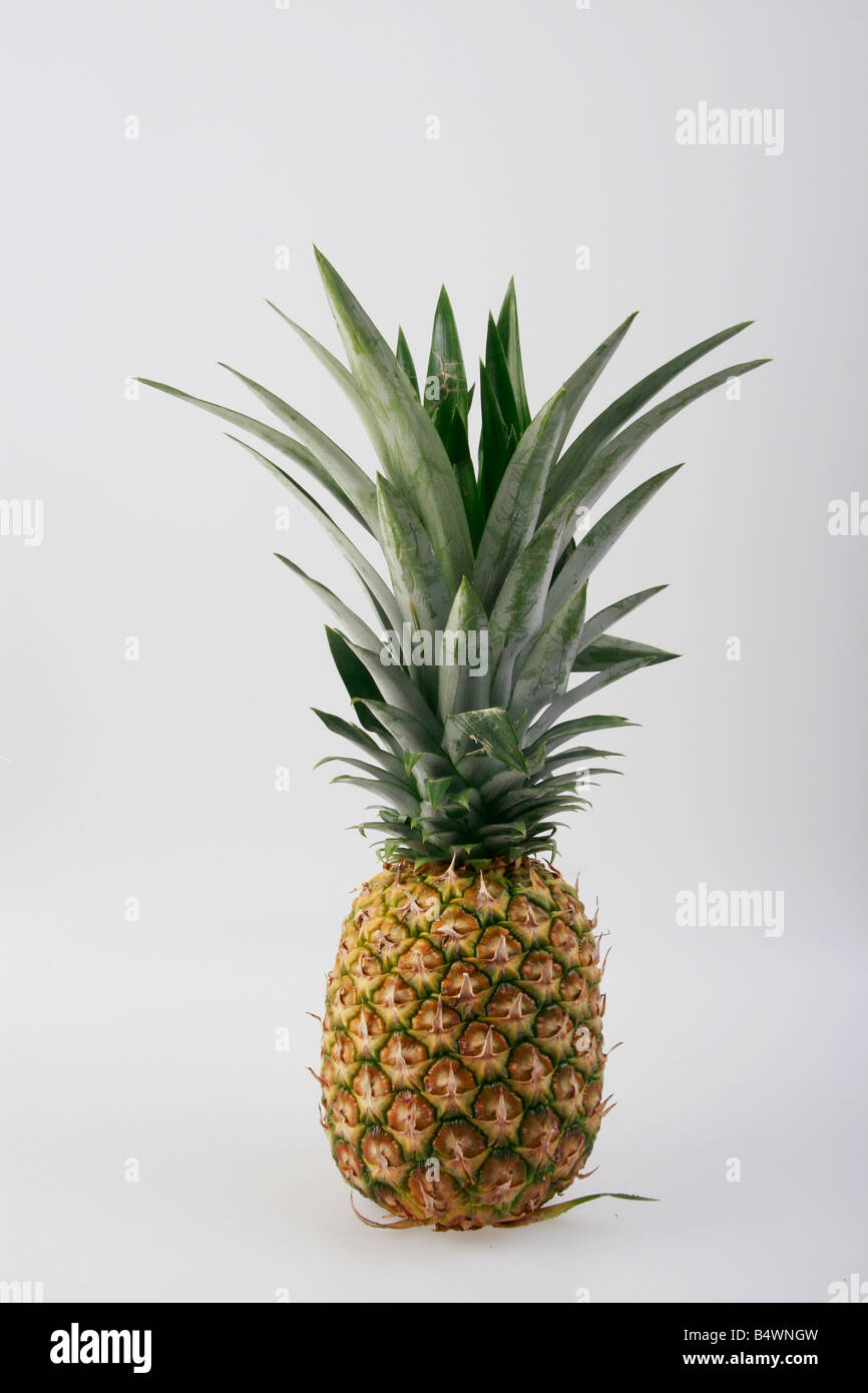 ananas, pineapple, fruit Stock Photo - Alamy