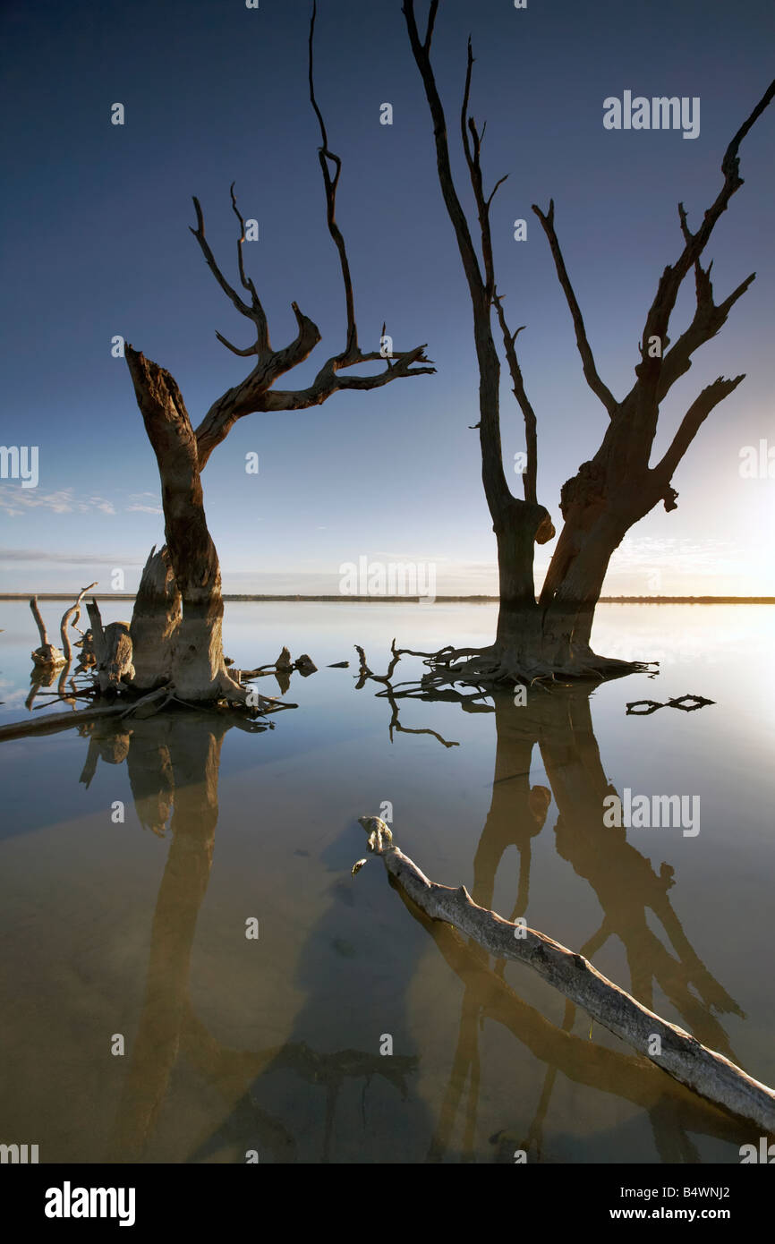 Lake Bonney Barmera Riverland South Australia Stock Photo Alamy