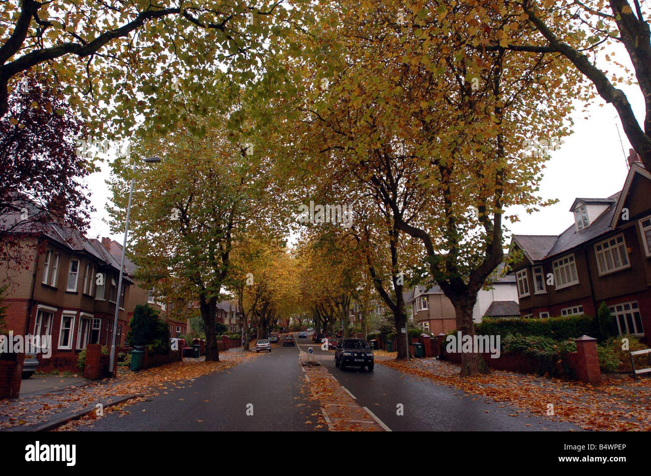 General view of Newport Edward VII Avenue Tree lined avenue in Newport