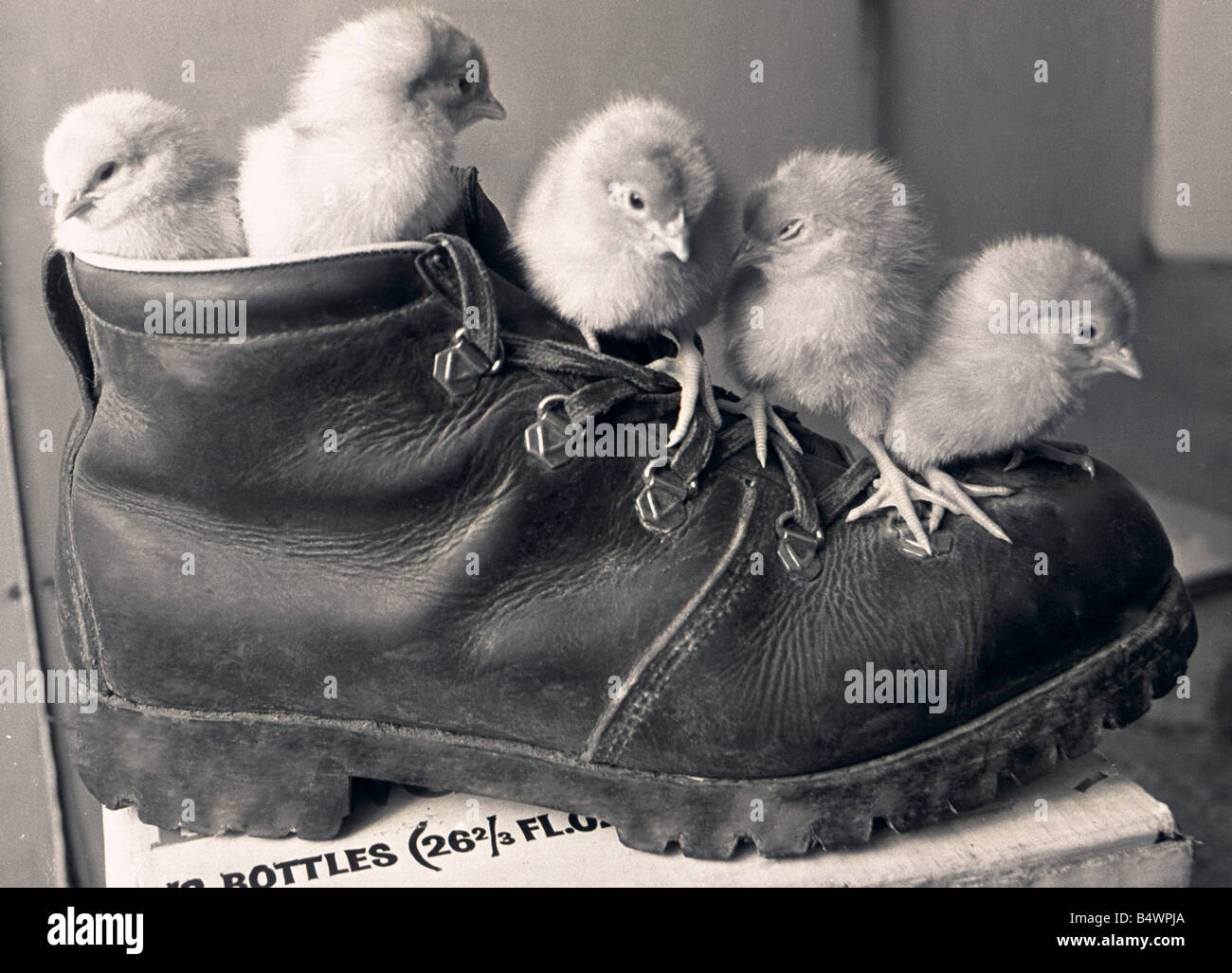 1970s boot hires stock photography and images Alamy