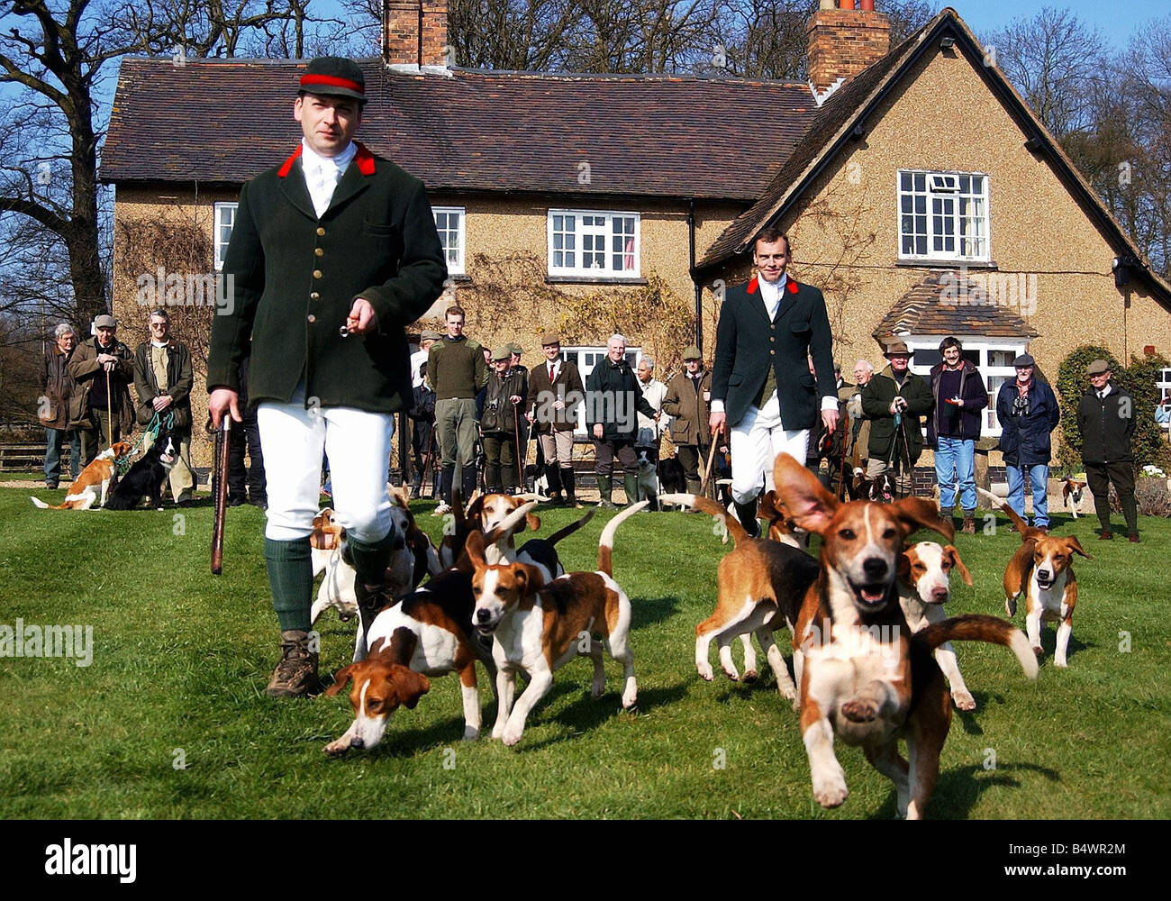 Beagle Hunt at South Farm Arbury Estate Warwickshire Richard Sutton