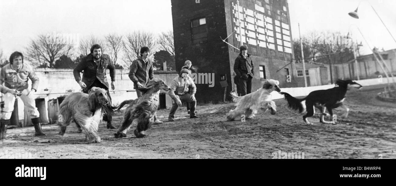 Right direction Black and White Stock Photos Images Alamy Right direction Black and White Stock Photos Images Alamy