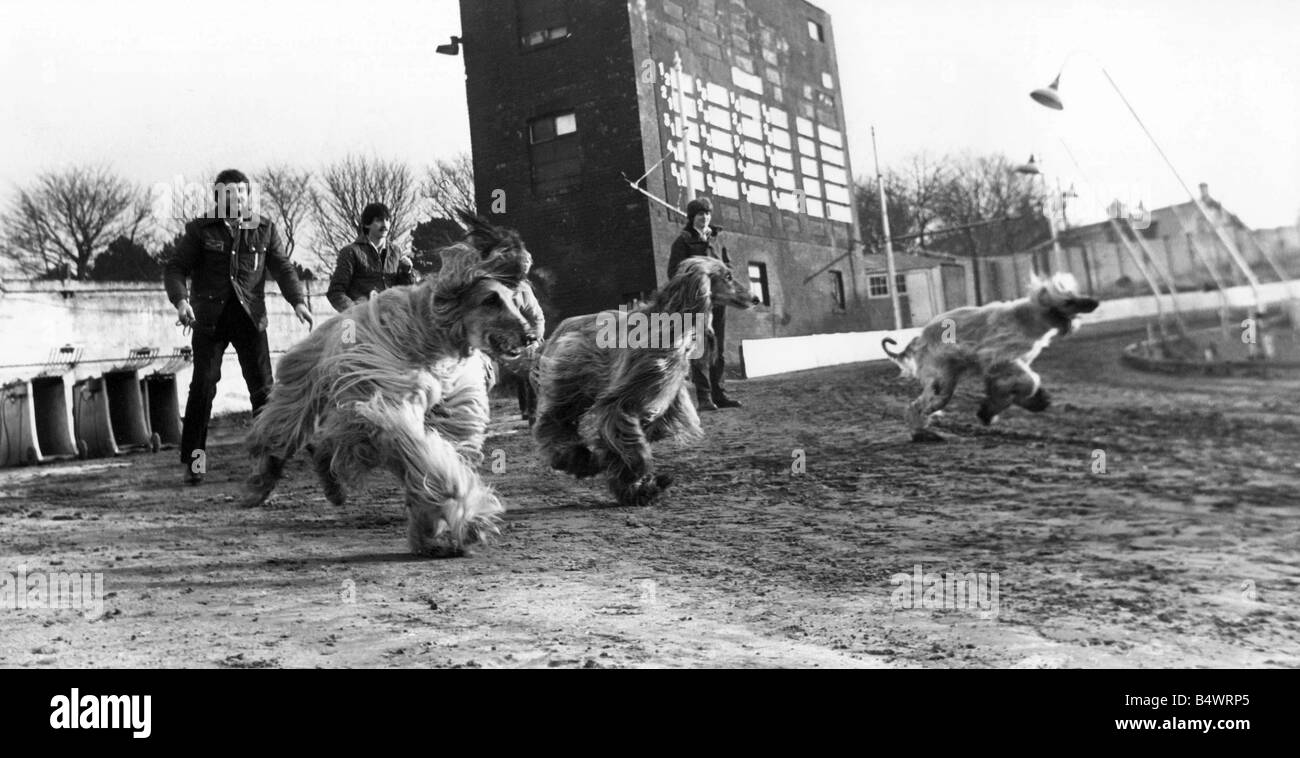 Right direction Black and White Stock Photos Images Alamy Right direction Black and White Stock Photos Images Alamy