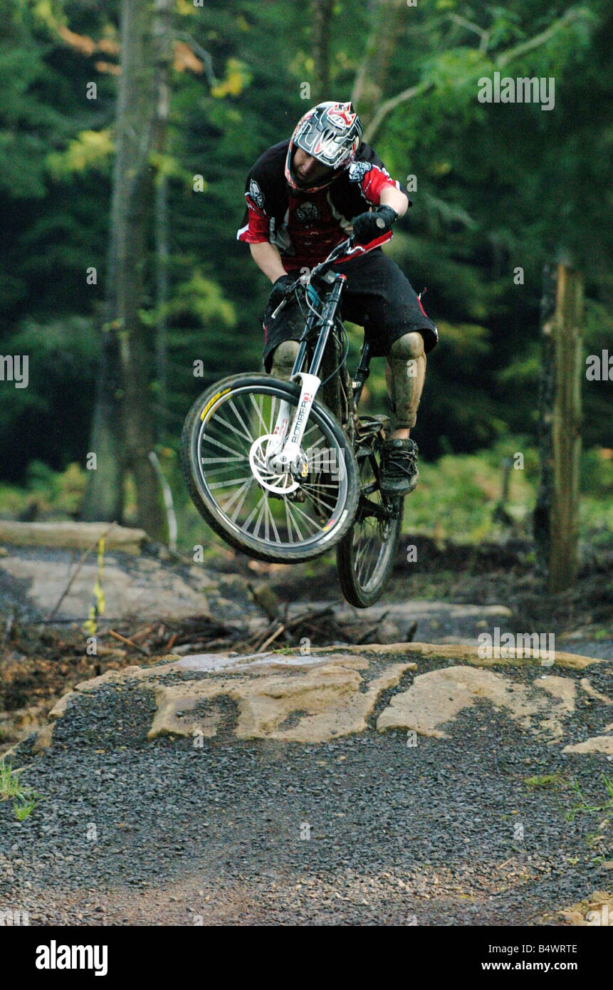 The largest extreme biking complex at Hamsterley Forest Stock Photo
