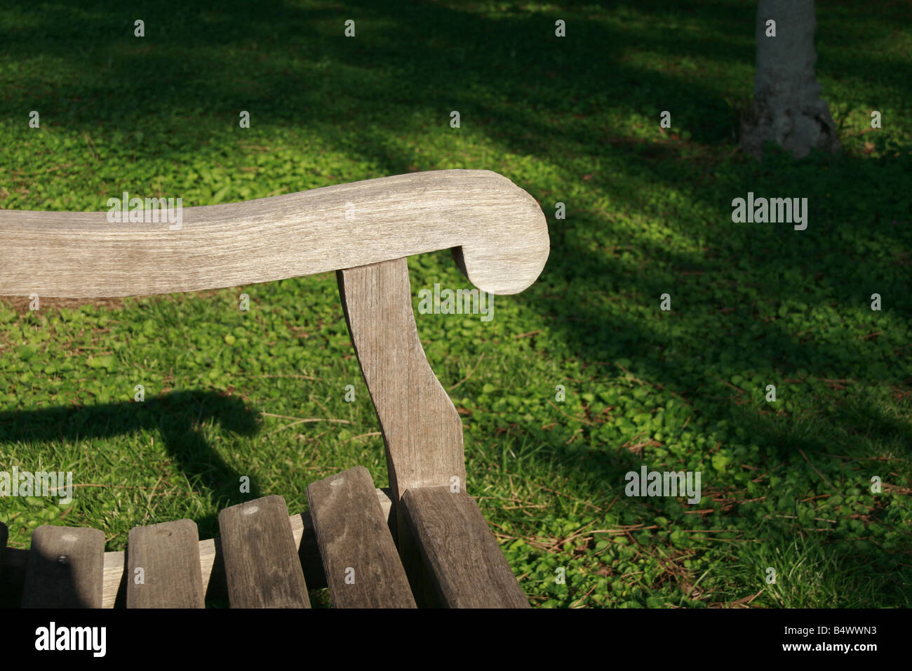 one empty bench in park with trees Stock Photo - Alamy