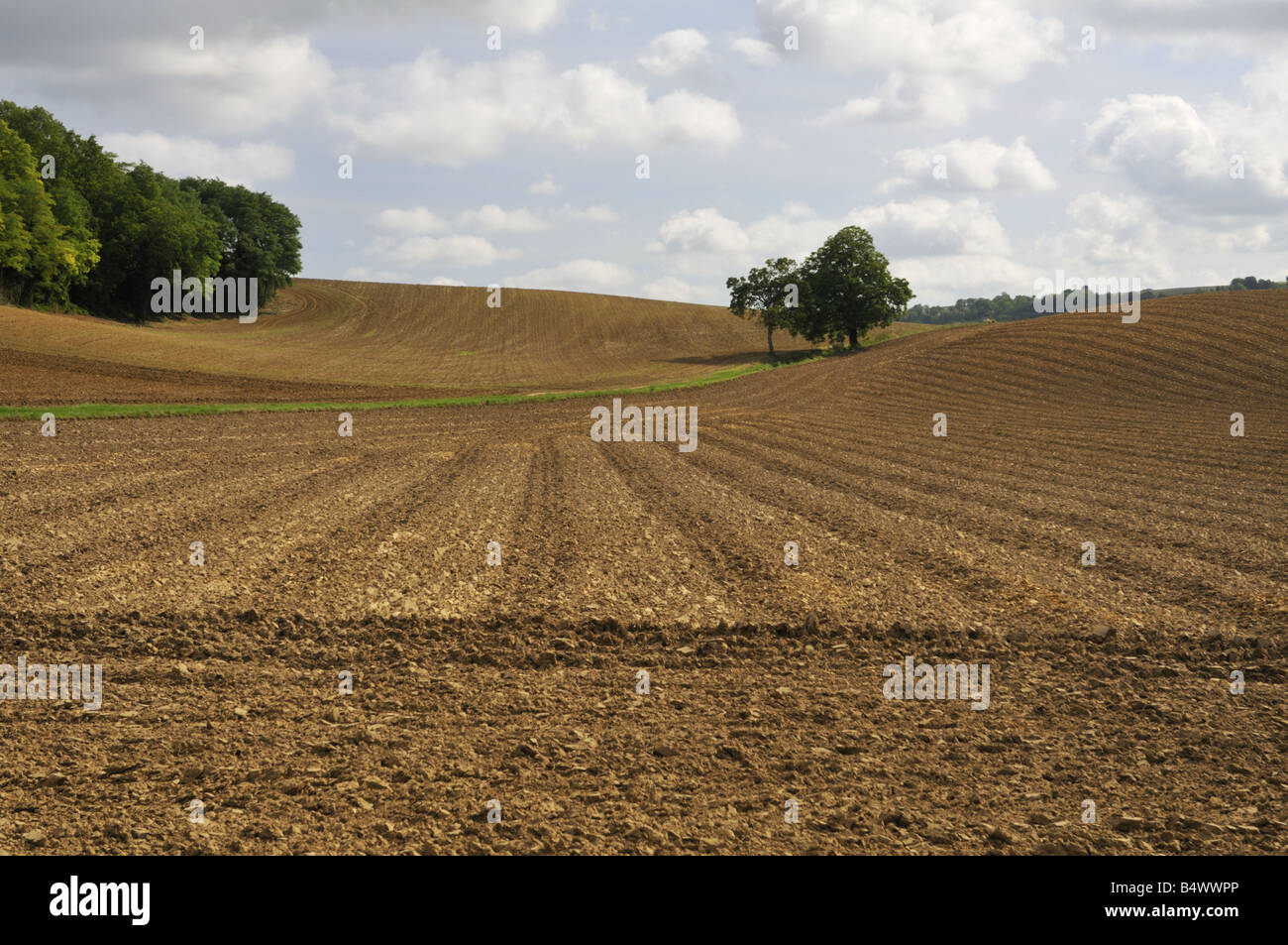 Autumn scene of ploughed field in Northern France. Stock Photo