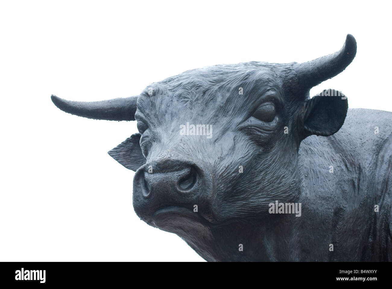 bronze bull sculpture in downtown Durham NC Stock Photo Alamy