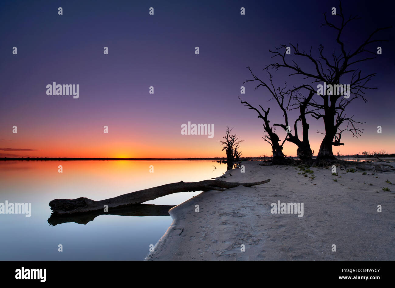 Pelican Point Lake Bonney Barmera Riverland South Australia Stock Photo