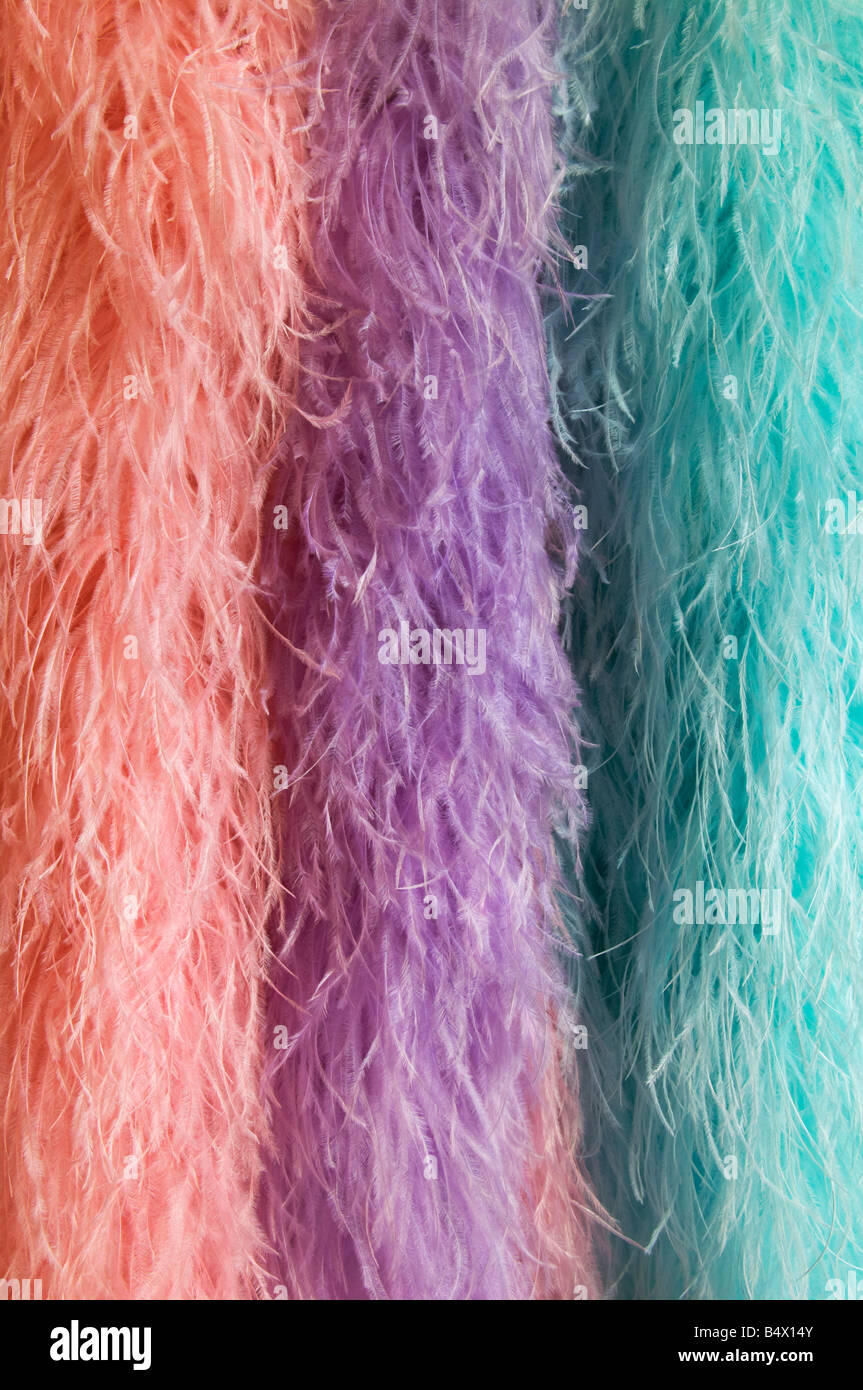 Feather boas Stock Photo Alamy