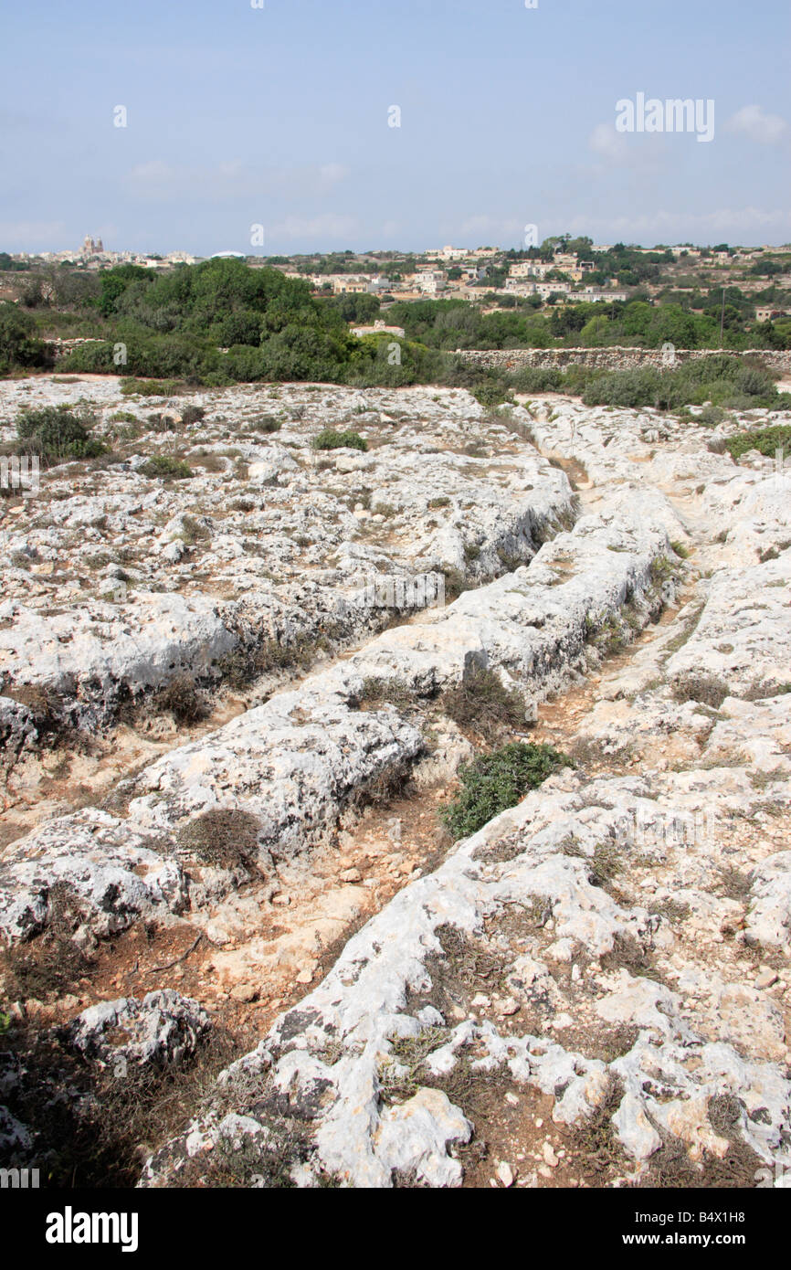 The 'Cart Ruts' of 'Clapham Junction' in Malta. Stock Photo