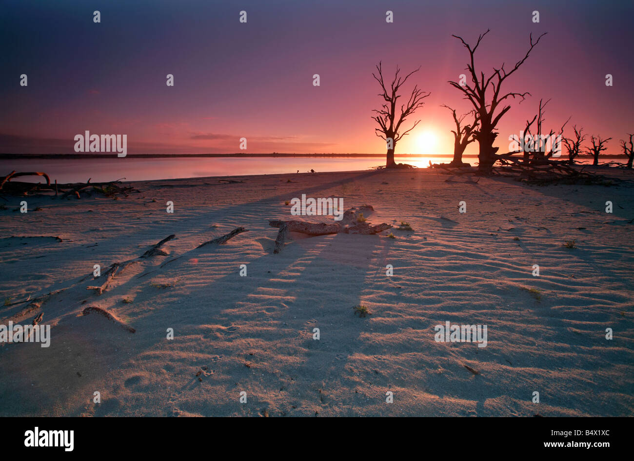 Pelican Point Lake Bonney Barmera Riverland South Australia Stock Photo