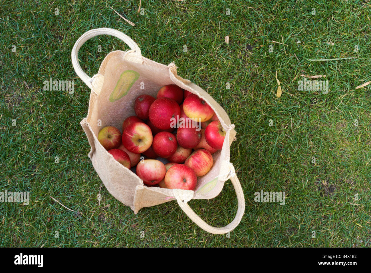 Apples in plastic bag hi-res stock photography and images - Alamy