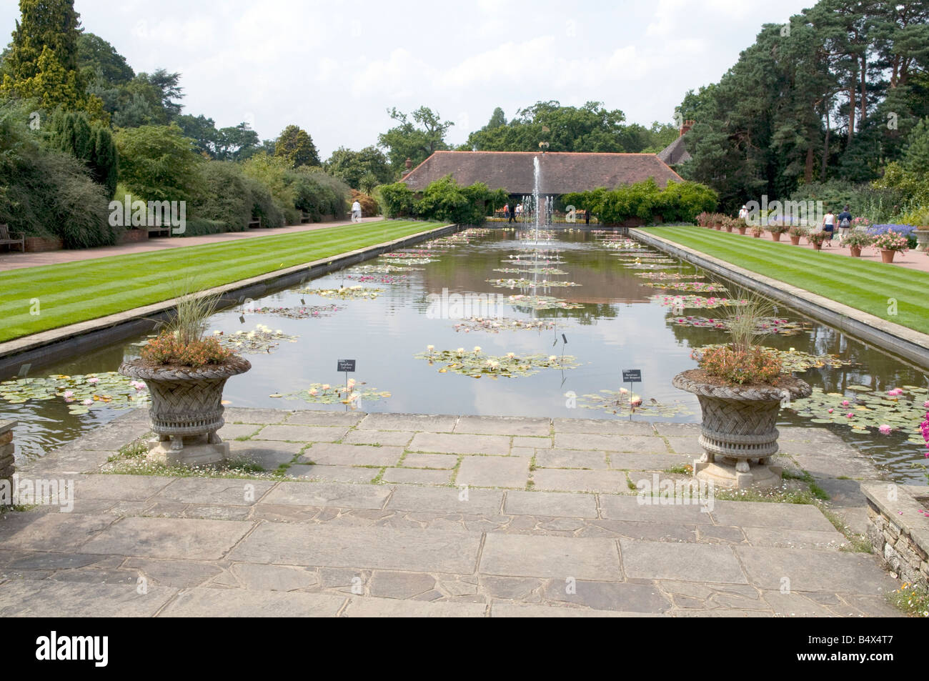 Waterlily ponds at RHS gardens Wisley, London Stock Photo Alamy