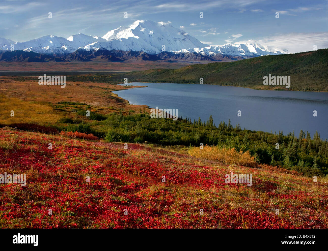 Mount Mckinley in and Wonder Lake in Autumn, Denali National Park, Alaska Stock Photo