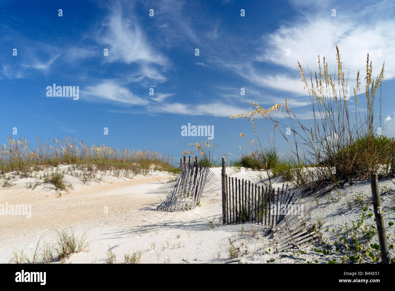 Sand dune at Anastasia Beach, St. Augustine Florida Stock Photo - Alamy