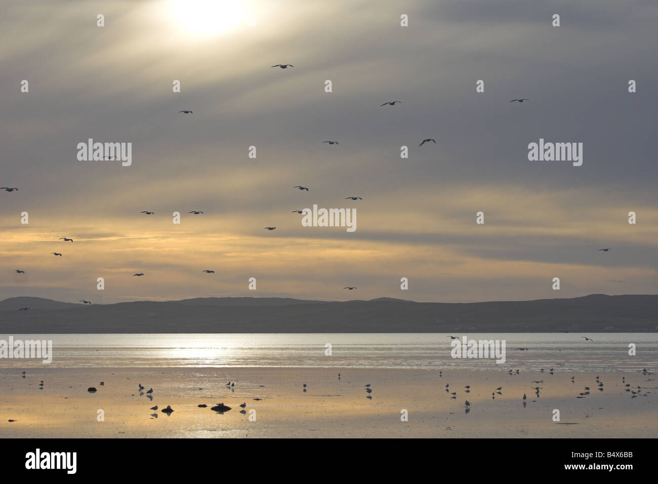 Winter evening light over Loch Indaal, Islay Stock Photo