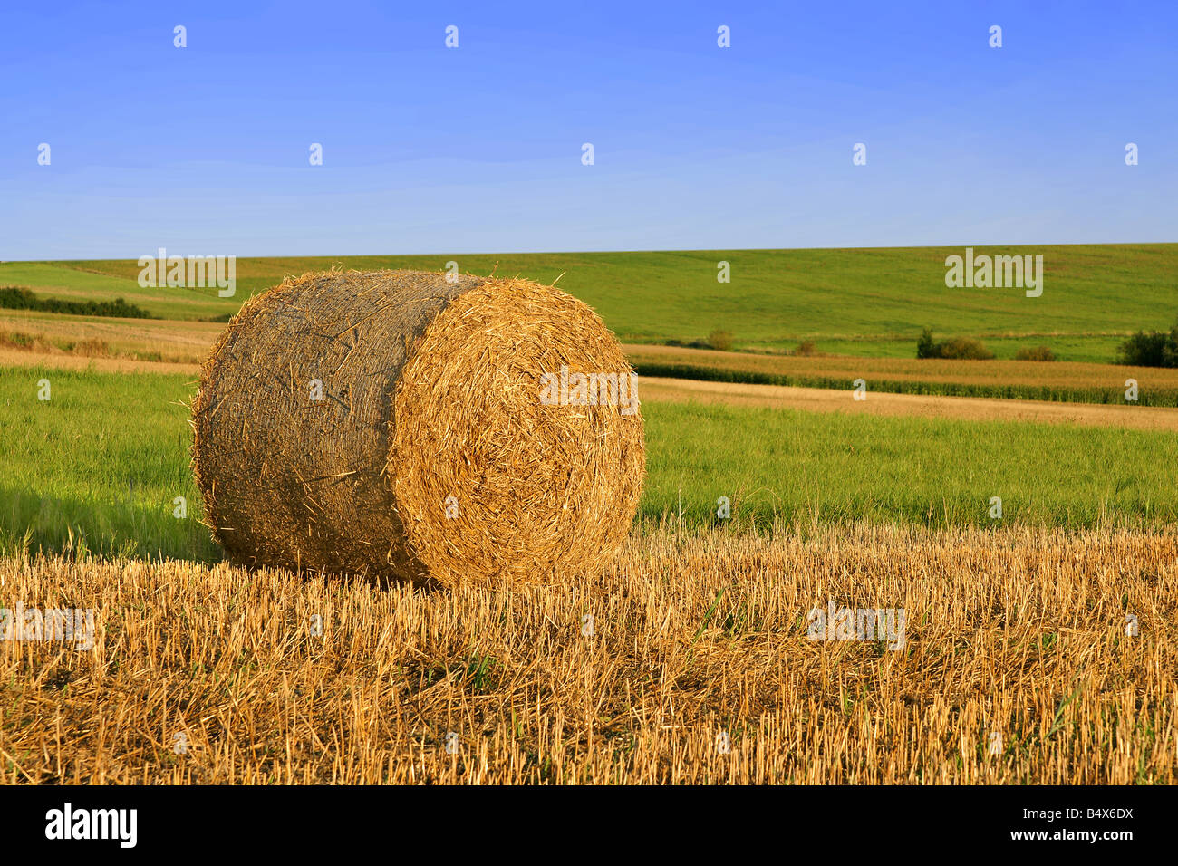Straw bale on field under blue sky Stock Photo - Alamy