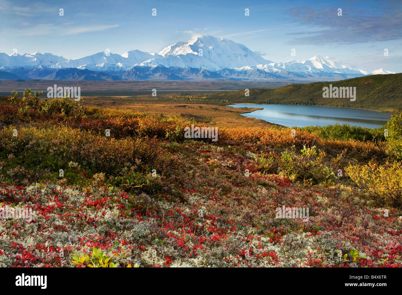 Mount Mckinley and Wonder Lake in Autumn, Denali National Park, Alaska Stock Photo