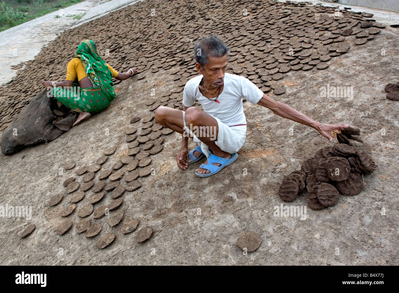 Cow Dung Cakes High Resolution Stock Photography and Images - Alamy