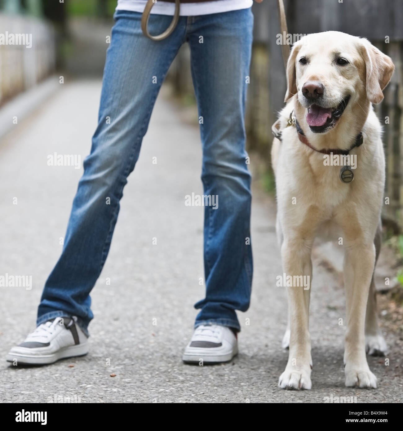 Girl walking dog hi-res stock photography and images - Alamy