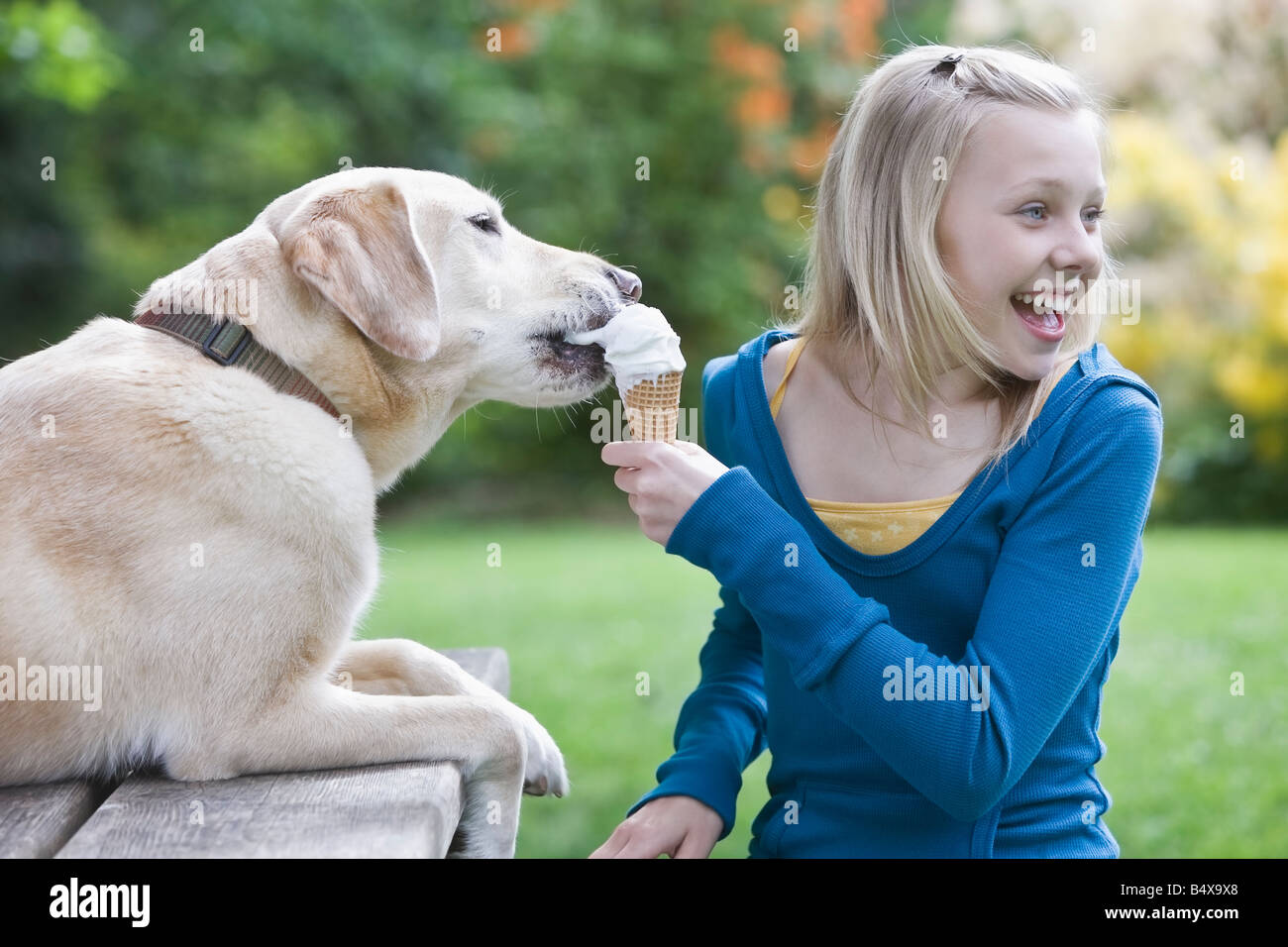 dog eating ice cream