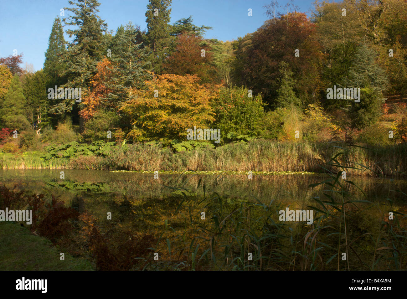 Colours environment hi-res stock photography and images - Alamy