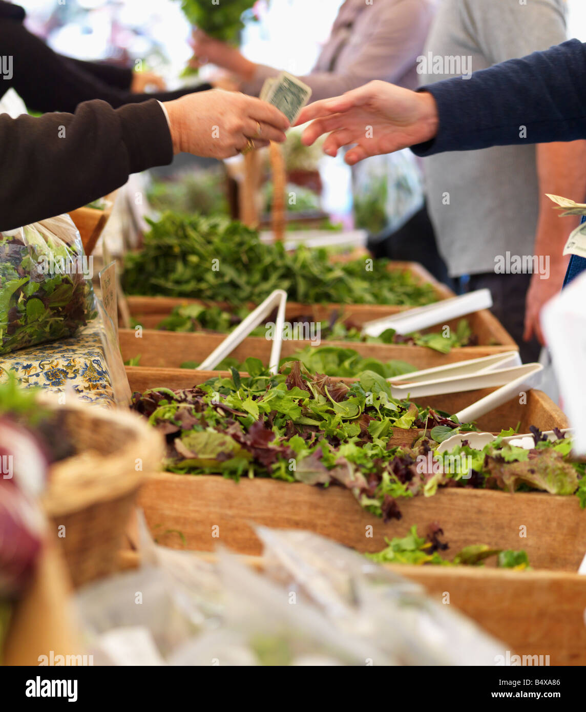 People buying lettuce at farmers market Stock Photo Alamy