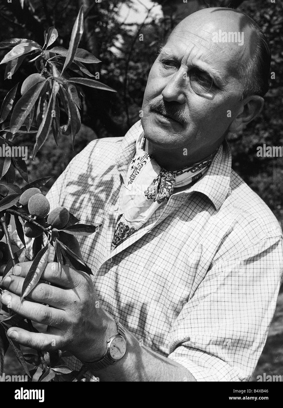 Fanny cradock hires stock photography and images Alamy